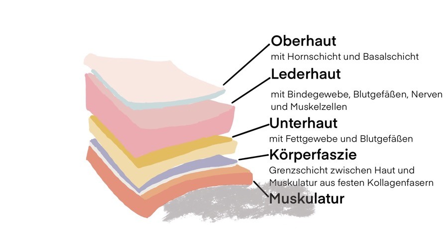 Hautschichten