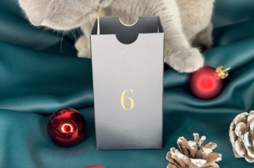 bb 1 Make-up-Adventskalender-Challenge 06.12.2022